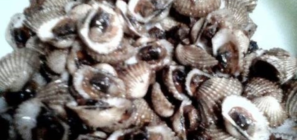 Kerang Goreng