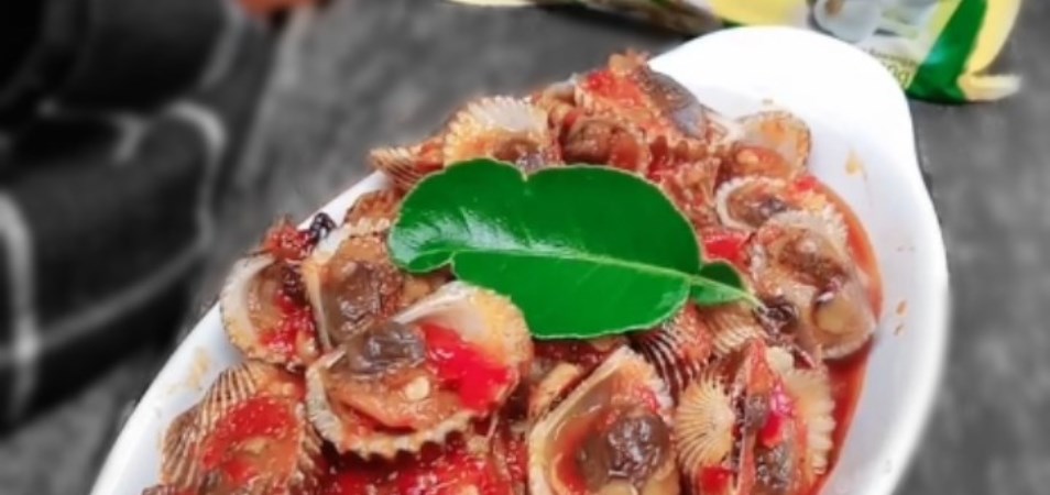 Kerang Dara Saus Padang