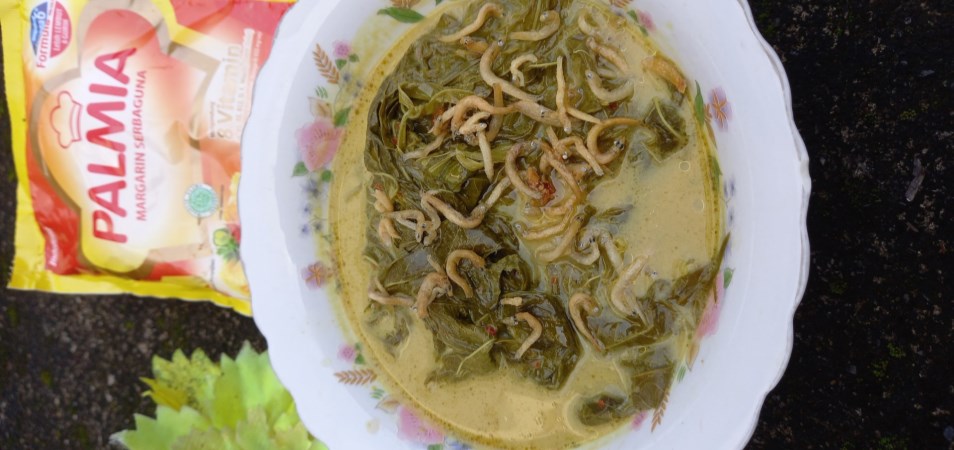 Pucuk Ubi Gulai Teri