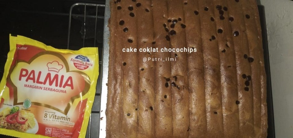 Cake Coklat Chocochips