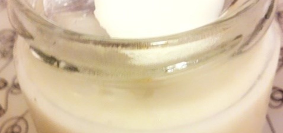 Coconut Milk Pudding (Kue Kelapa Kukus)