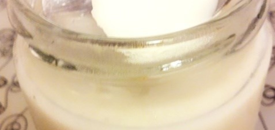 Coconut Milk Pudding (Kue Kelapa Kukus)