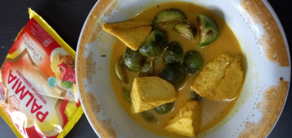 Gulai Tahu Terung