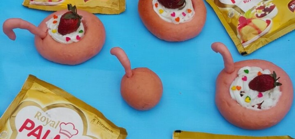 Flamingo Donuts