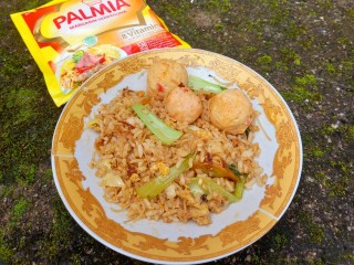 Nasi Goreng Bakso Pakcoy Bumbu Ebi