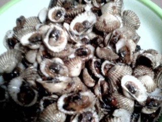 Kerang Goreng