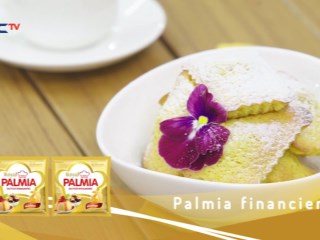 PALMIA FINANCIER