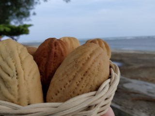 Kue Tat Bengkulu