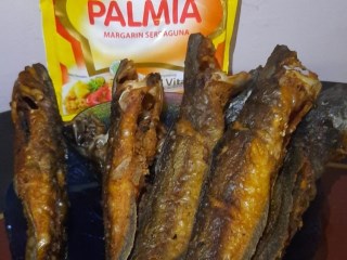 Lele Goreng Palmia